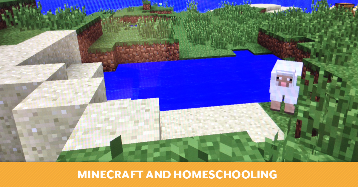 Minecraft and Homeschooling