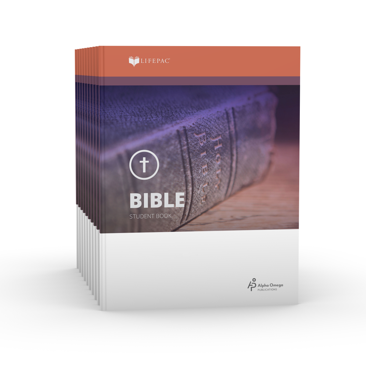 LIFEPAC® 6th Grade Bible 10-Unit Set