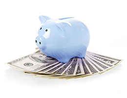 Significant Savings Significant Savings